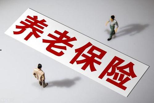 国产精品久久久久久一级毛片,揭秘久久久久久一级毛片的魅力与影响